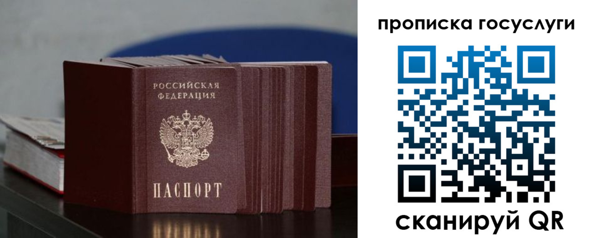 купить прописку в Купино
